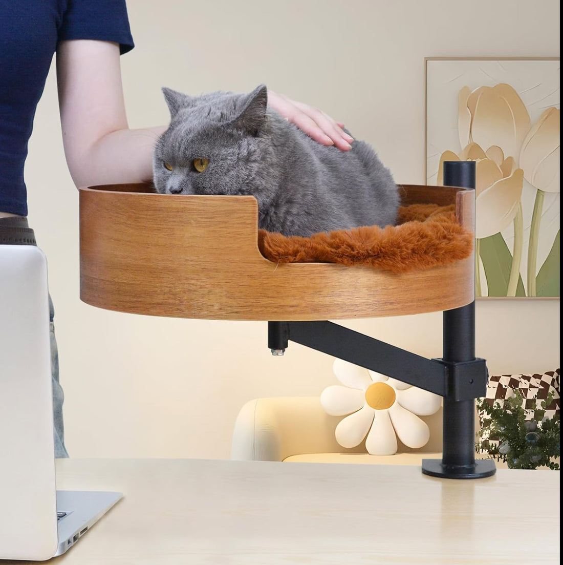 Mounted Cat Bed