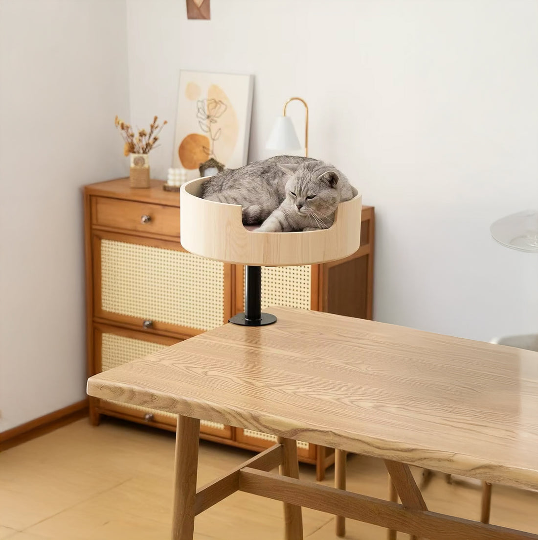 Mounted Cat Bed